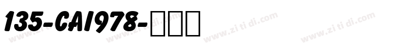 135-CAI978字体转换