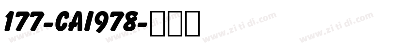 177-CAI978字体转换