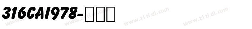 316CAI978字体转换