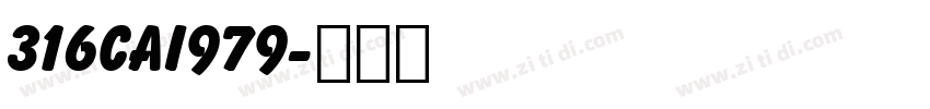 316CAI979字体转换