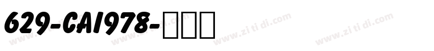 629-CAI978字体转换