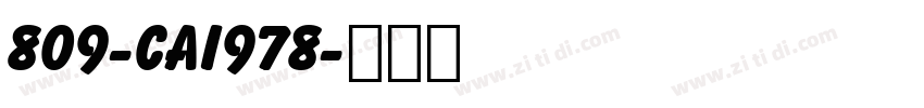 809-CAI978字体转换