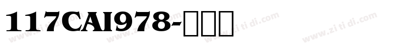 117CAI978字体转换