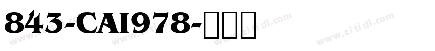 843-CAI978字体转换