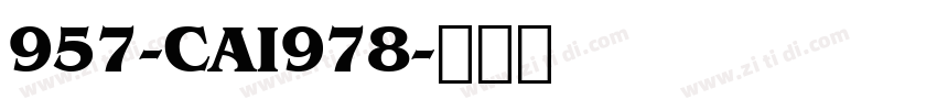 957-CAI978字体转换