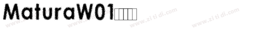 MaturaW01字体转换
