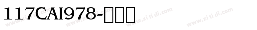 117CAI978字体转换