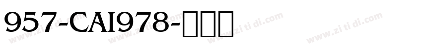 957-CAI978字体转换