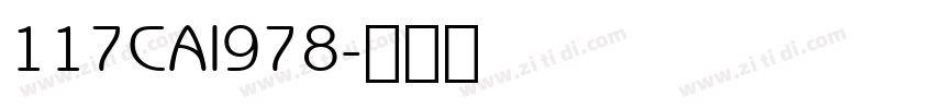 117CAI978字体转换