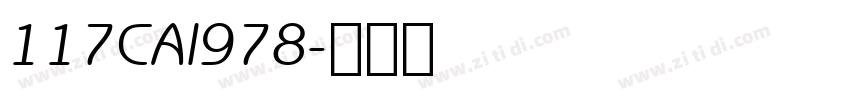117CAI978字体转换