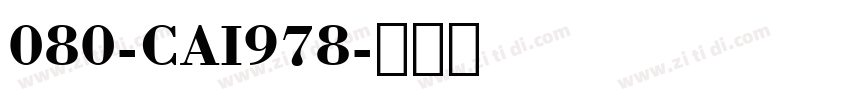 080-CAI978字体转换