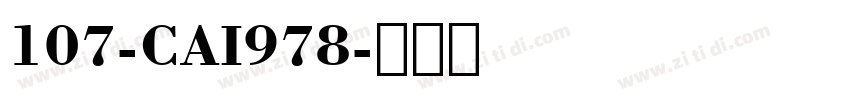 107-CAI978字体转换