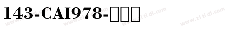 143-CAI978字体转换