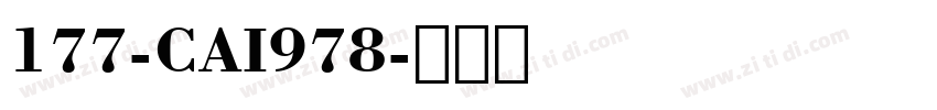 177-CAI978字体转换