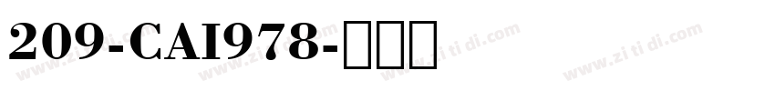 209-CAI978字体转换