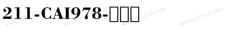 211-CAI978字体转换