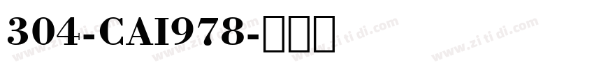 304-CAI978字体转换