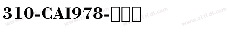 310-CAI978字体转换