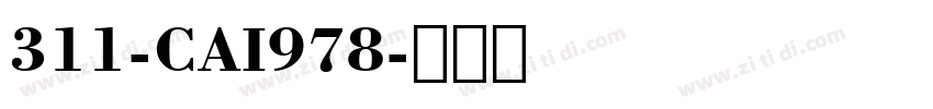 311-CAI978字体转换