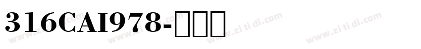 316CAI978字体转换