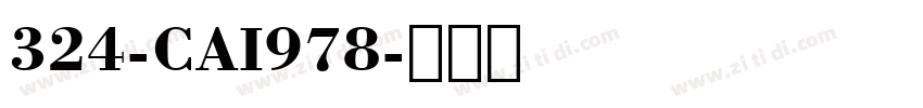 324-CAI978字体转换