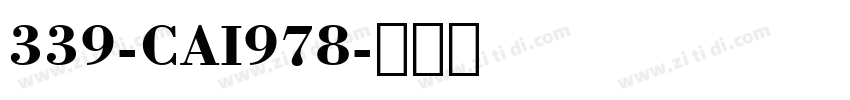 339-CAI978字体转换