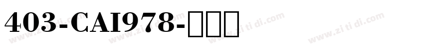 403-CAI978字体转换