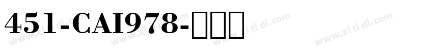 451-CAI978字体转换