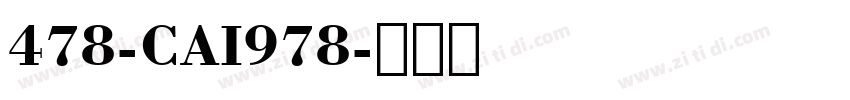 478-CAI978字体转换