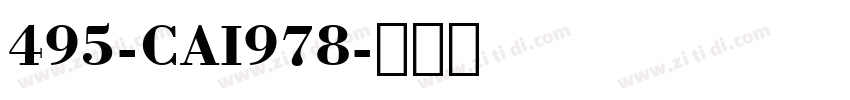 495-CAI978字体转换