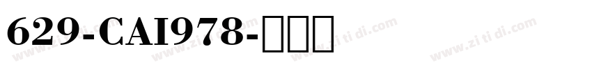 629-CAI978字体转换