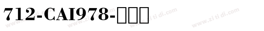 712-CAI978字体转换