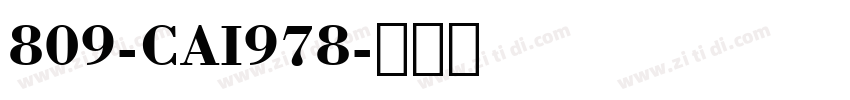 809-CAI978字体转换