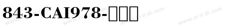 843-CAI978字体转换
