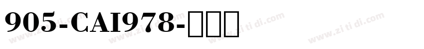 905-CAI978字体转换