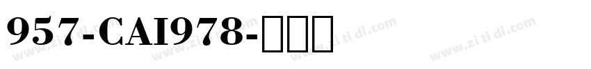 957-CAI978字体转换
