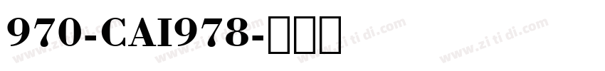 970-CAI978字体转换