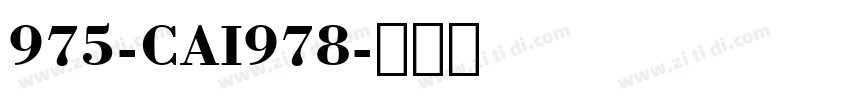975-CAI978字体转换