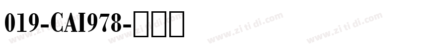 019-CAI978字体转换