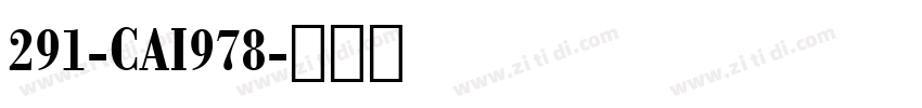 291-CAI978字体转换