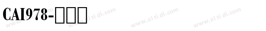 CAI978字体转换