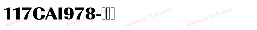 117CAI978字体转换