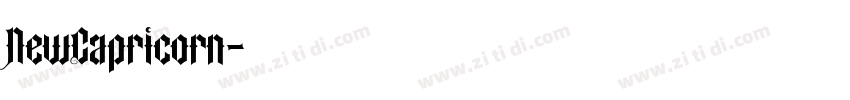NewCapricorn字体转换