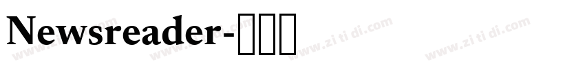 Newsreader字体转换