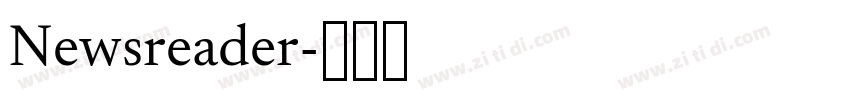 Newsreader字体转换