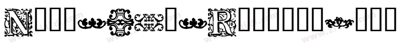 Nudi_16k_Regular字体转换