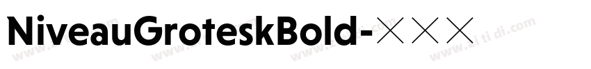 NiveauGroteskBold字体转换