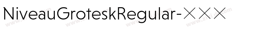 NiveauGroteskRegular字体转换