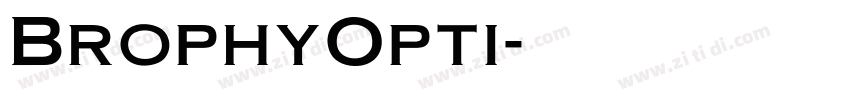 BrophyOpti字体转换