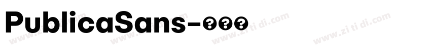 PublicaSans字体转换